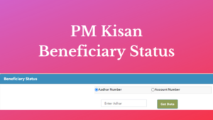 pm kisan beneficiary status | पीएम किसान स्टेटस कसे पहावे